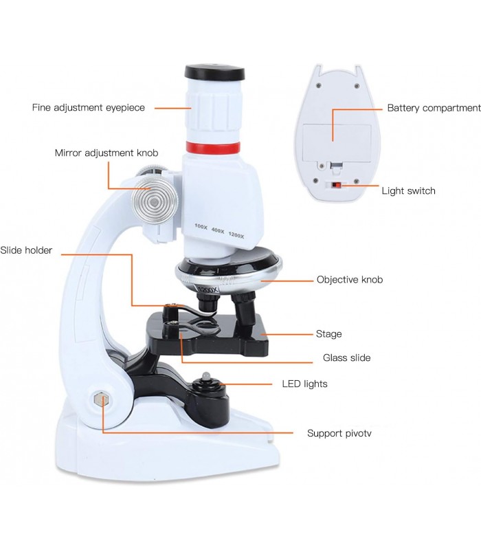MICROSCOPIO INFANTIL EDUCATIVO EXPLORACIÓN EN CASA