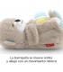 NUTRIA HORA DE DORMIR FISHER PRICE