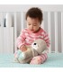 NUTRIA HORA DE DORMIR FISHER PRICE