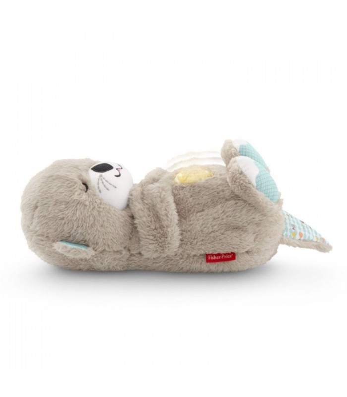 NUTRIA HORA DE DORMIR FISHER PRICE