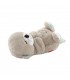 NUTRIA HORA DE DORMIR FISHER PRICE