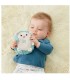 Fisher-Price Erizo Vibraciones Relajantes