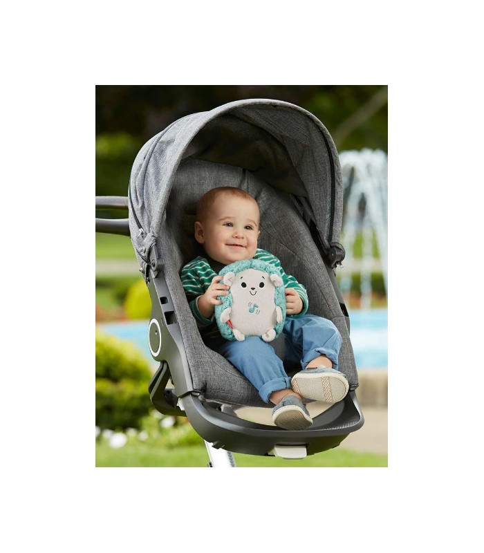 Fisher-Price Erizo Vibraciones Relajantes