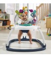 SALTARÍN FISHER PRICE DIVERSIÓN ESPACIAL