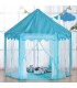 Carpa Castillo Princesa Con Luces Modelo Tul